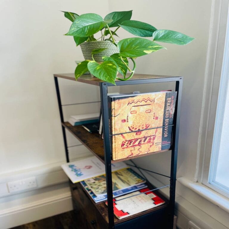 New_room_plant__acp-1664797742 (1)